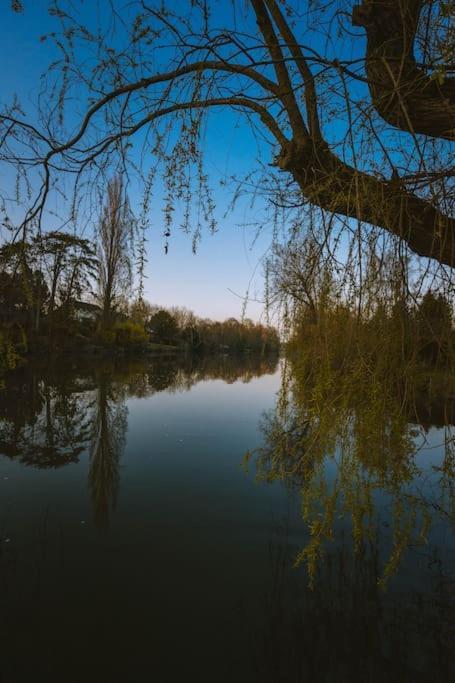 Le Chalet Du Bout Du Monde, En Bord De Riviere ! Grez-sur-Loing 外观 照片